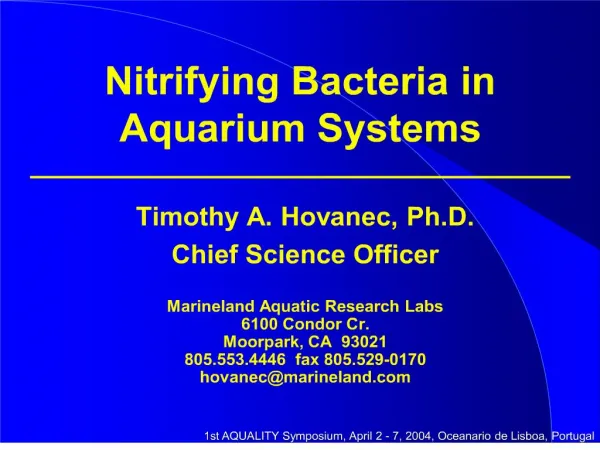 nitrifying bacteria in aquarium systems