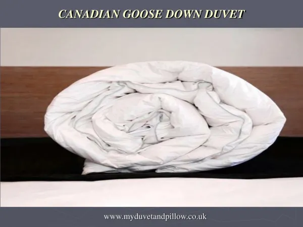 Canadian goose down Duvet