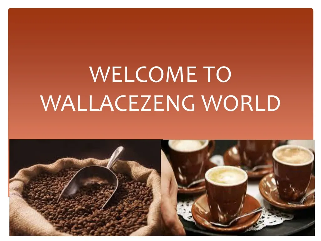 welcome to wallacezeng world