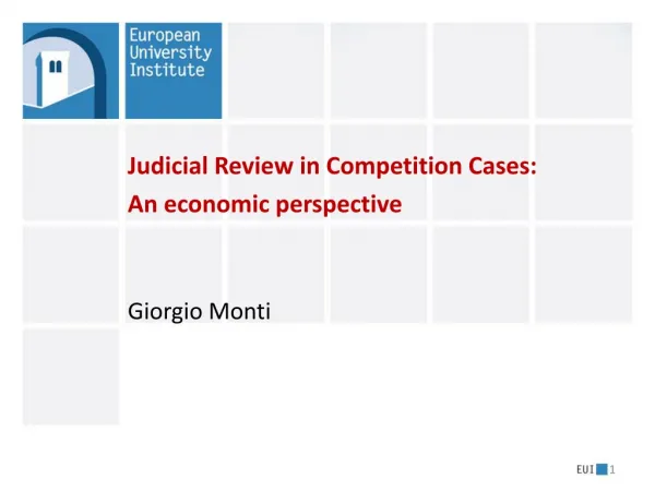 Judicial Review in Competition Cases: An economic perspective