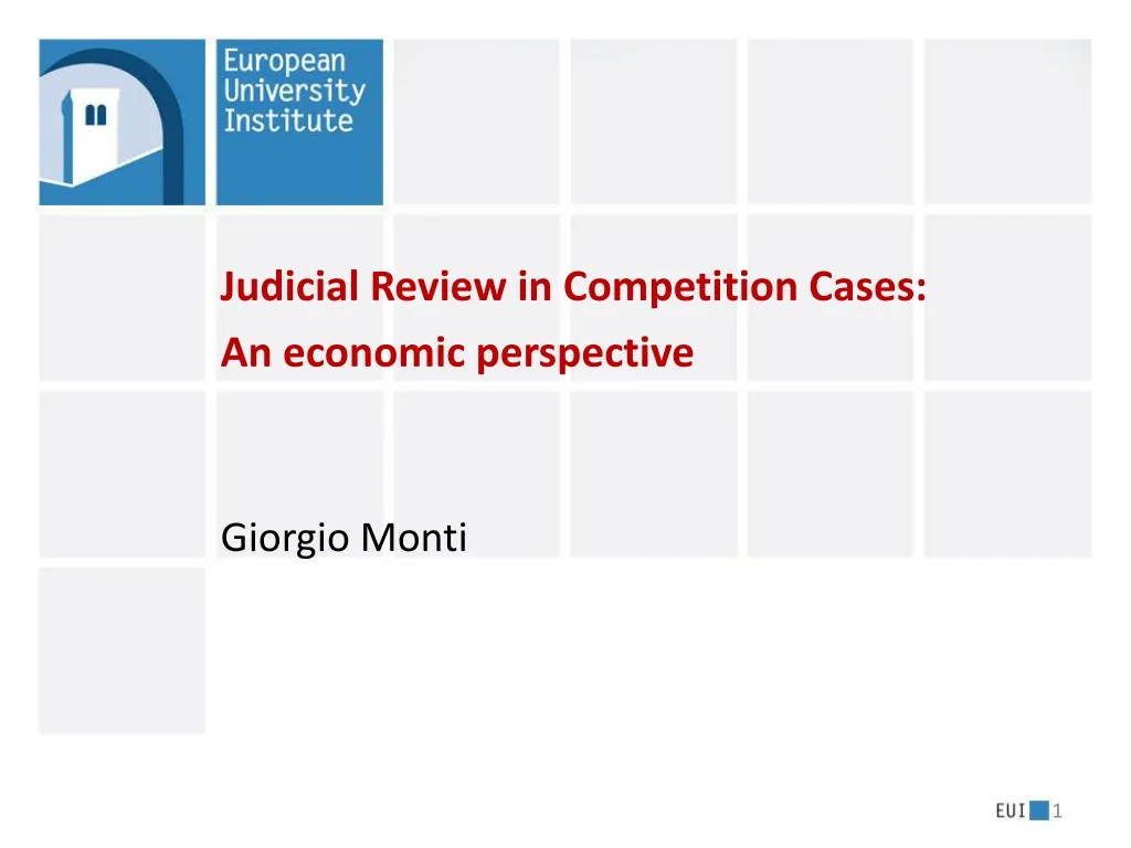 judicial review in competition cases an economic perspective