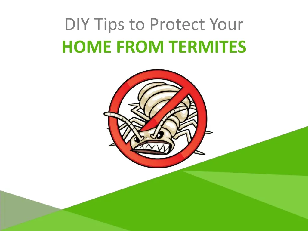 diy tips to protect your home from termites