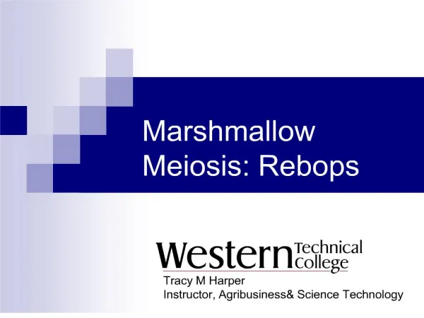 marshmallow meiosis: rebops