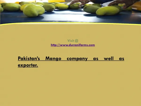 Mango Exporter Pakistan | Mango Producer in Asia - Durrani F