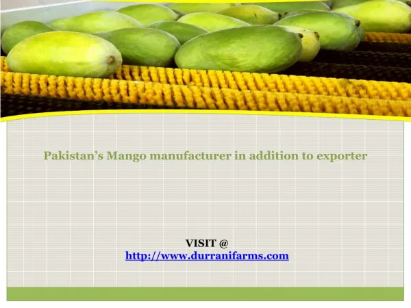 Mango Exporter Pakistan