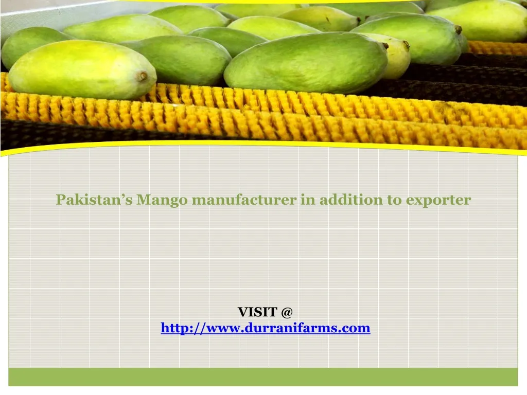 pakistan s mango manufacturer in addition to exporter