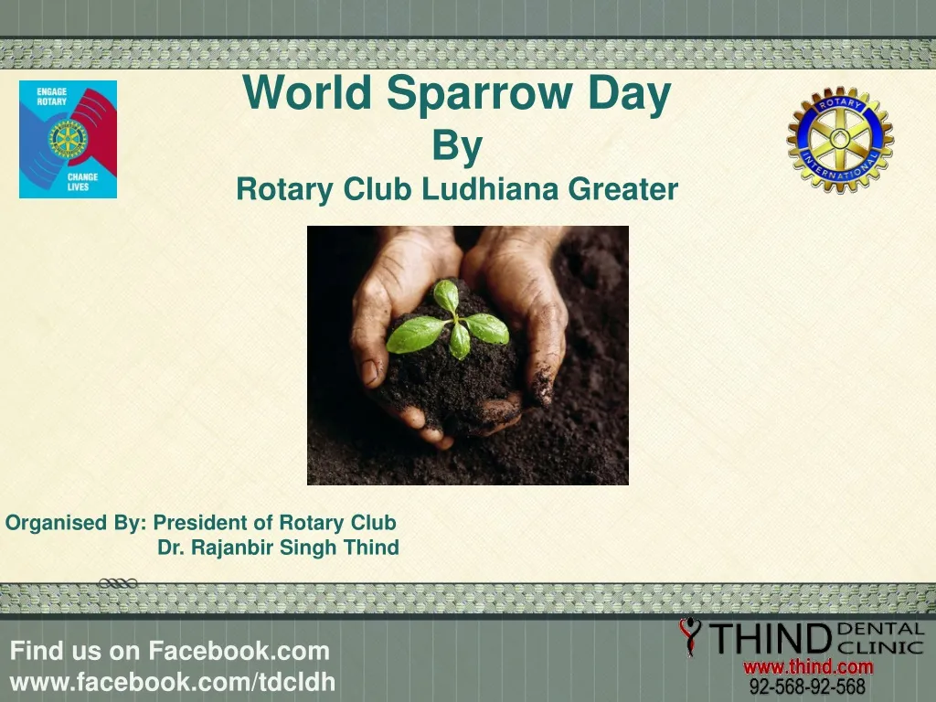 world sparrow day by rotary club ludhiana greater