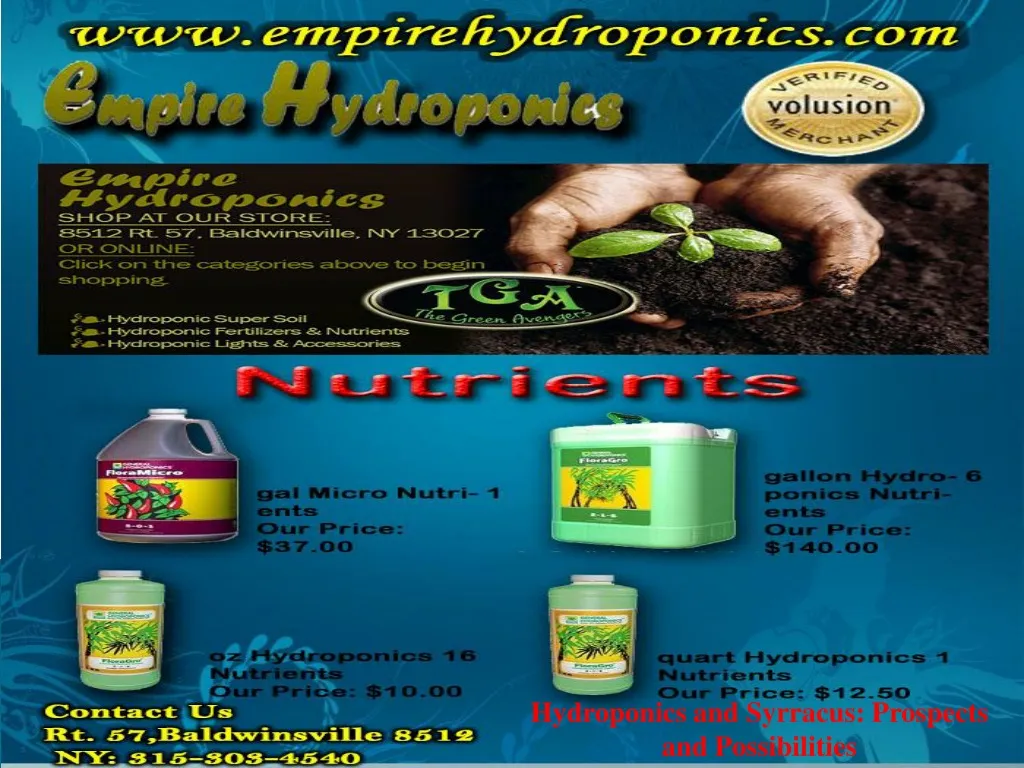 hydroponics and syrracus prospects