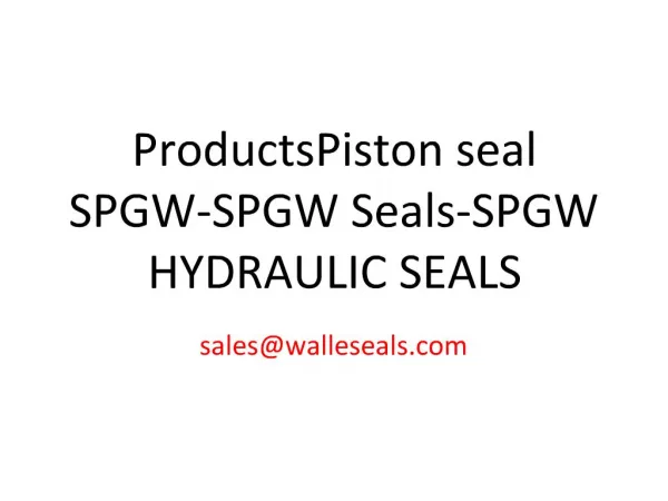 ProductsPiston seal SPGW-SPGW Seals-SPGW HYDRAULIC SEALS