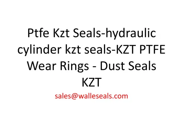 Ptfe Kzt Seals-hydraulic cylinder kzt seals-KZT PTFE Wear Ri