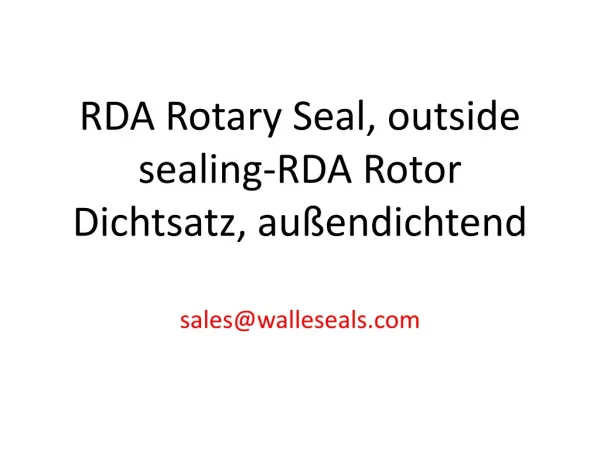 RDI Rotor Dichtsatz innendichtend-RDI Rotary Seal inside sea