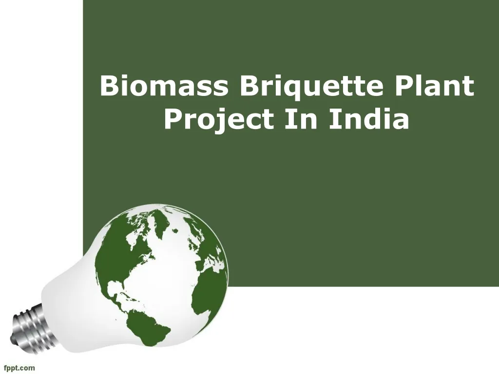 biomass briquette plant project in india