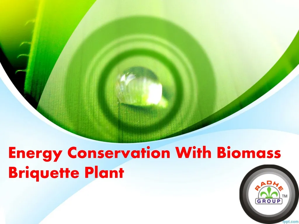 energy conservation with biomass briquette plant
