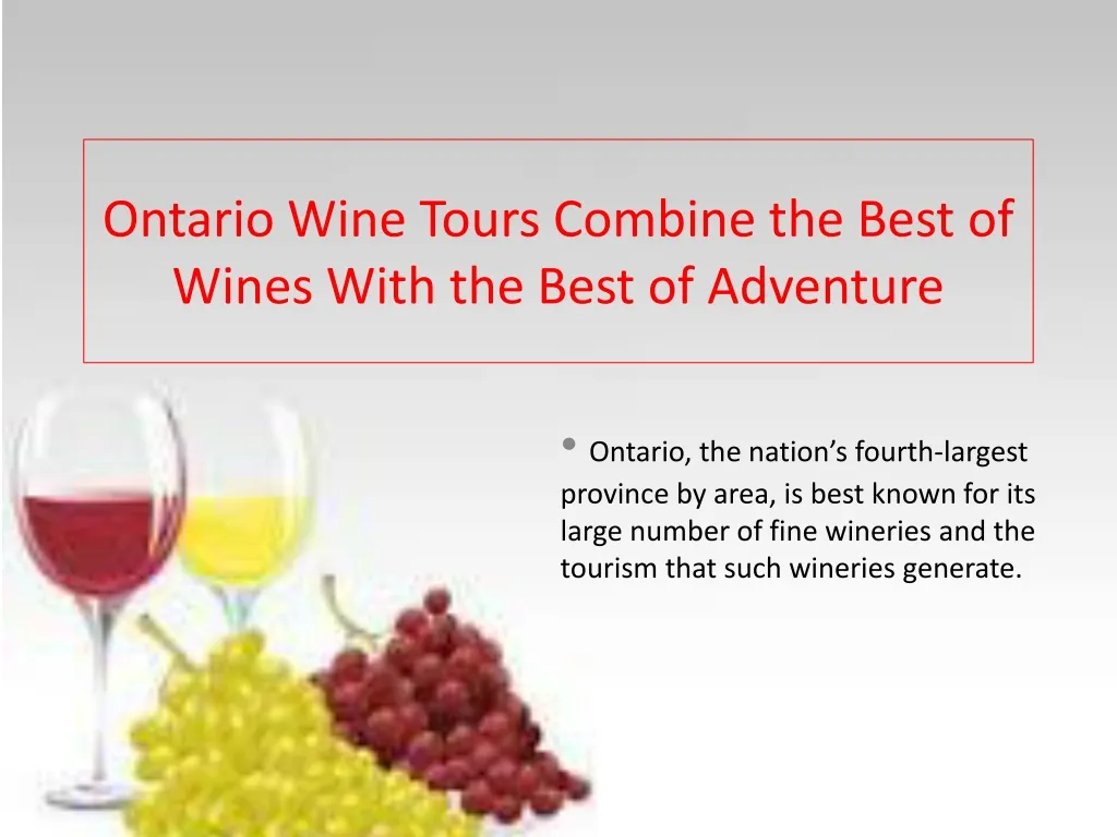 ontario wine tours combine the best of wines with the best of adventure