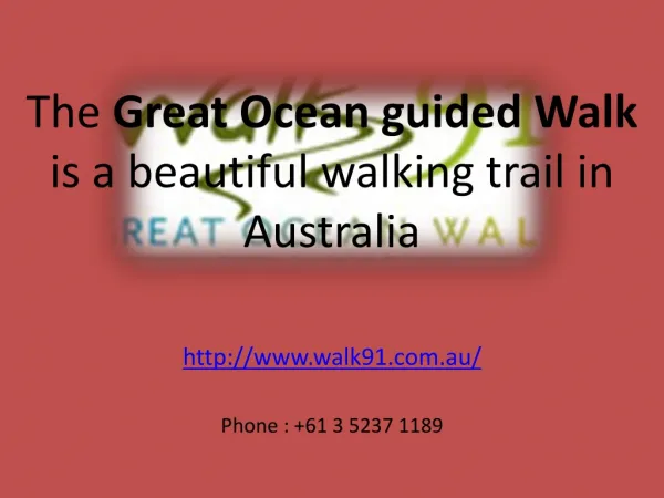 The Great Ocean guided Walk is a beautiful walking tour.