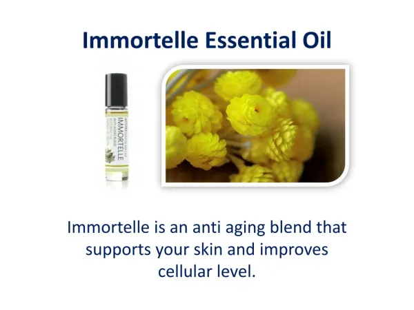 Immortelle Essential Oil Online