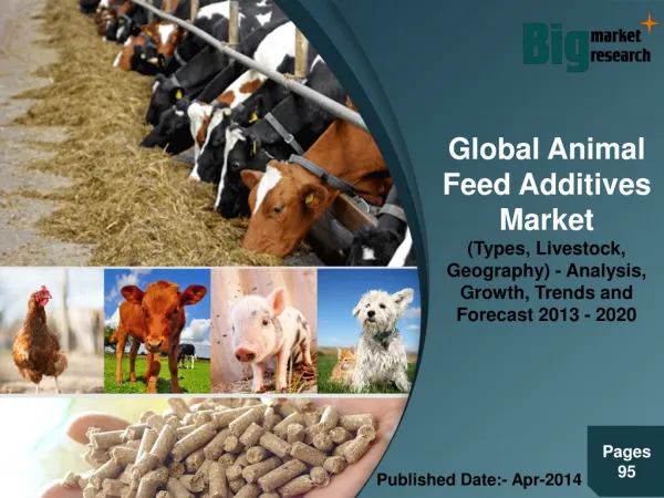 Global Animal Feed Additives Market (Types, Livestock, Geogr