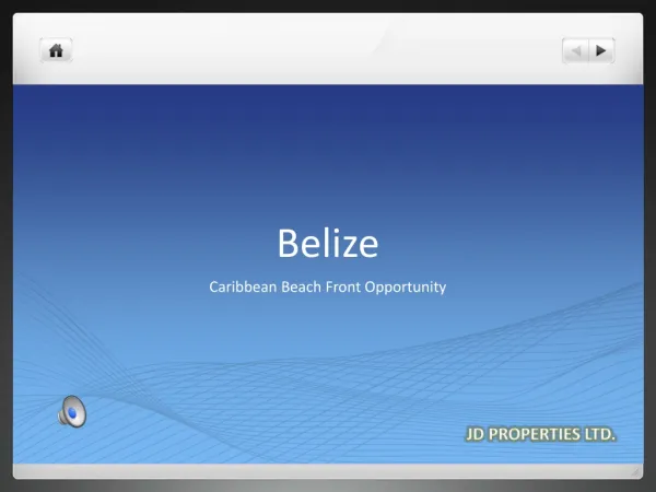 Caribbean Beachfront Opportunity-Belize