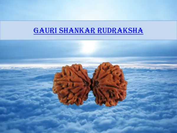 Gauri Shankar Rudraksha