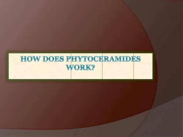 How Does Phytoceramides Work?