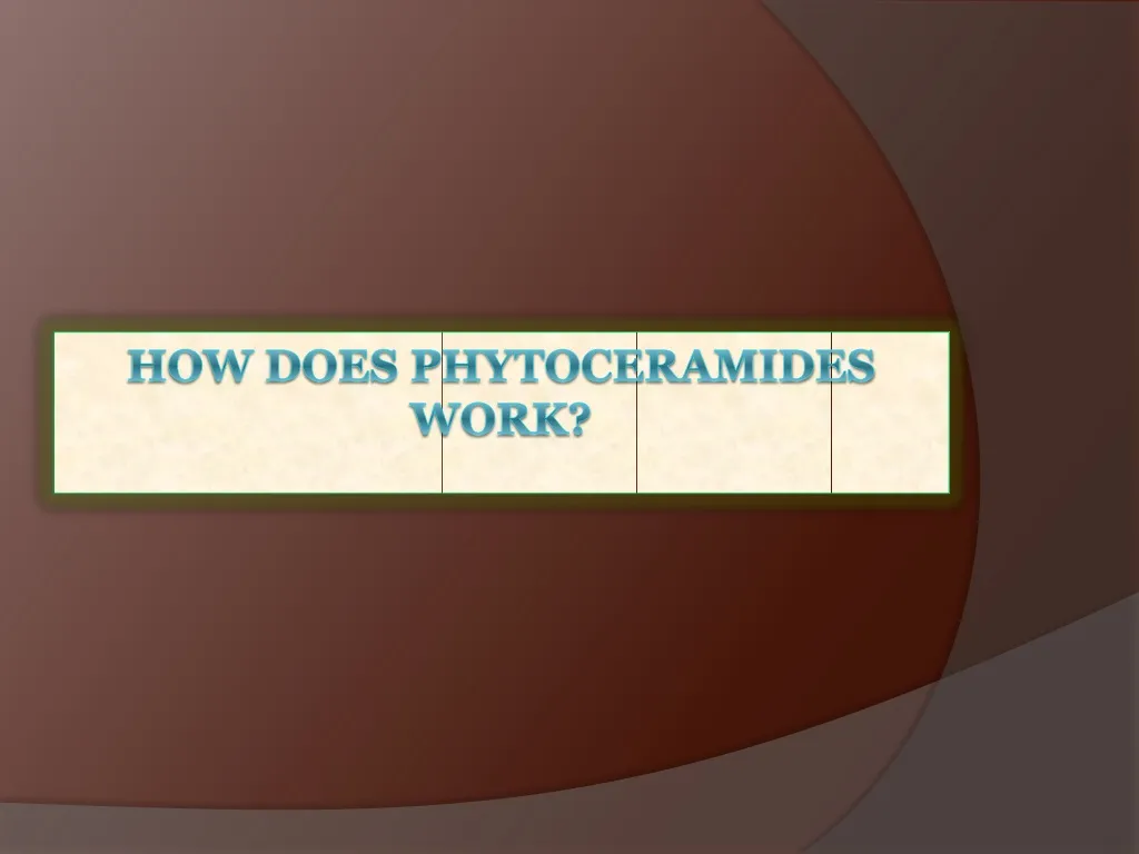how does phytoceramides work
