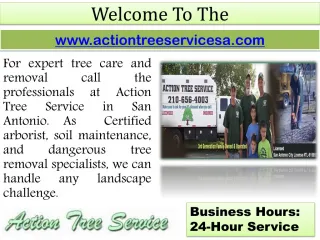 Tree Doctor San Antonio – Commercial Tree Care- Tree Removal - slide 1