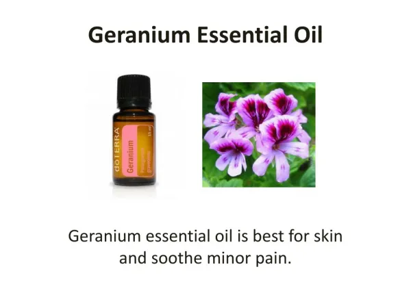 Get Geranium Essential Oil Today