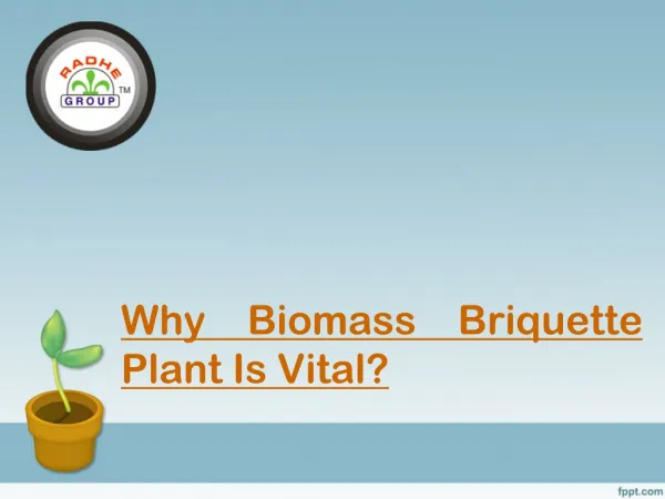 Why Biomass Briquette Plant Is Vital?