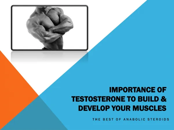 Importance of Testosterone to Build