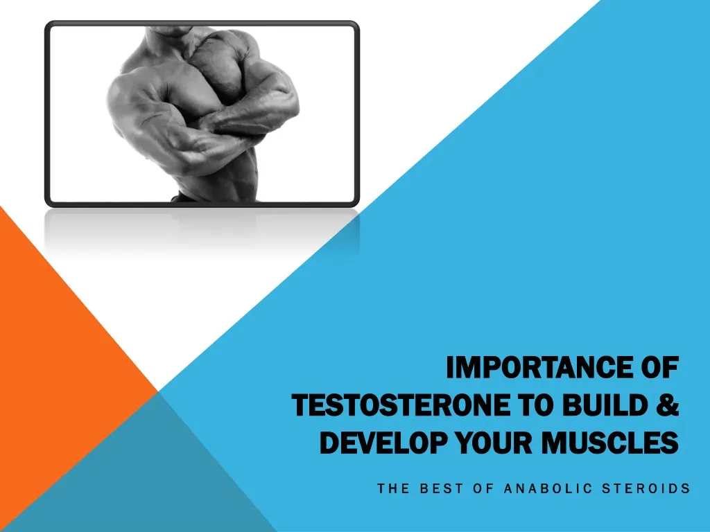 importance of testosterone to build develop your muscles