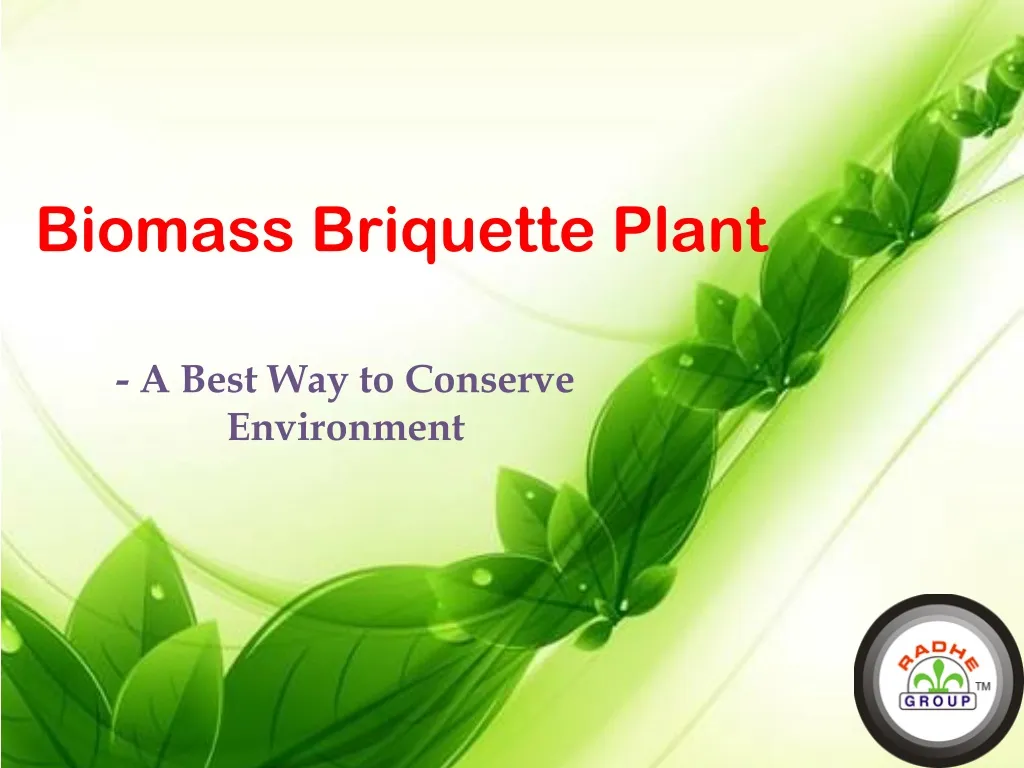 biomass briquette plant