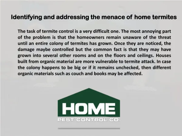 Identifying and addressing the menace of home termites