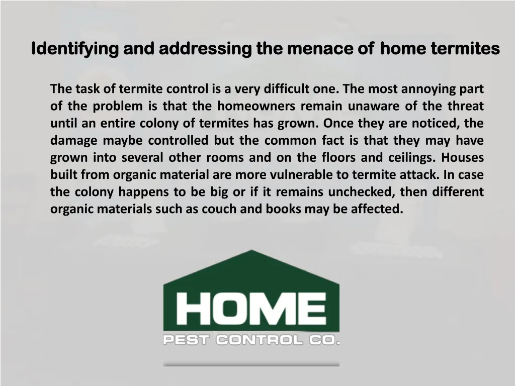 identifying and addressing the menace of home termites
