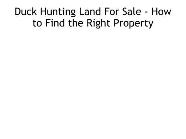 Duck Hunting Land For Sale - How to Find the Right Property