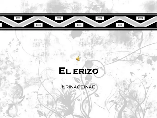 El Erizo