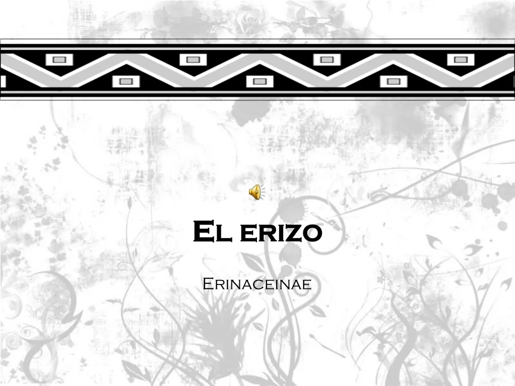 el erizo