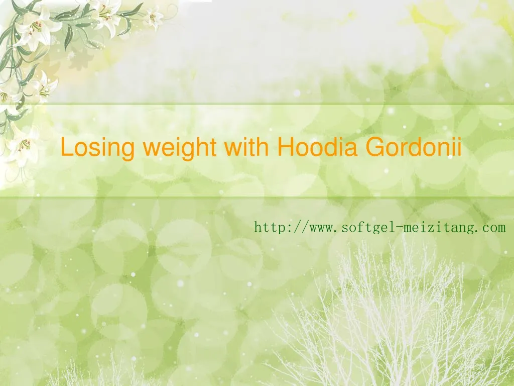 losing weight with hoodia gordonii