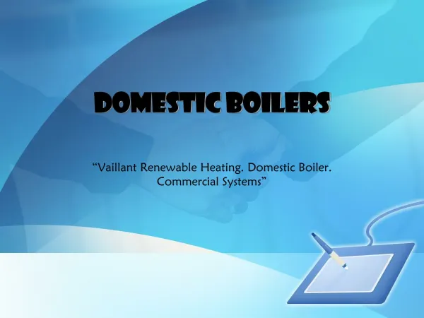 Domestic Boilers