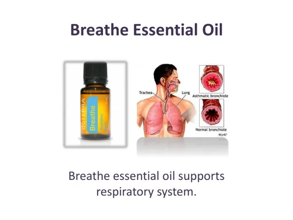 Buy Breathe Essential Oil at doTERRA