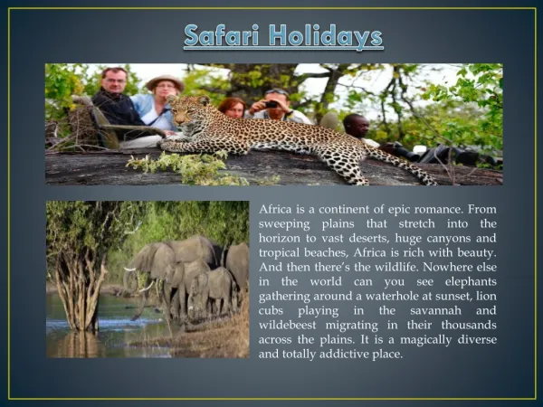 African Safari Holidays