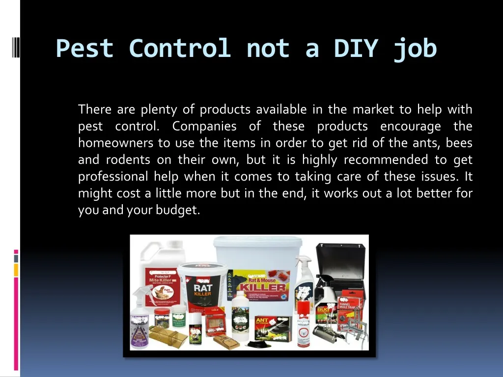 pest control not a diy job