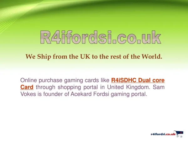 R4I SDHC Dual Core Card - R4i Fordsi