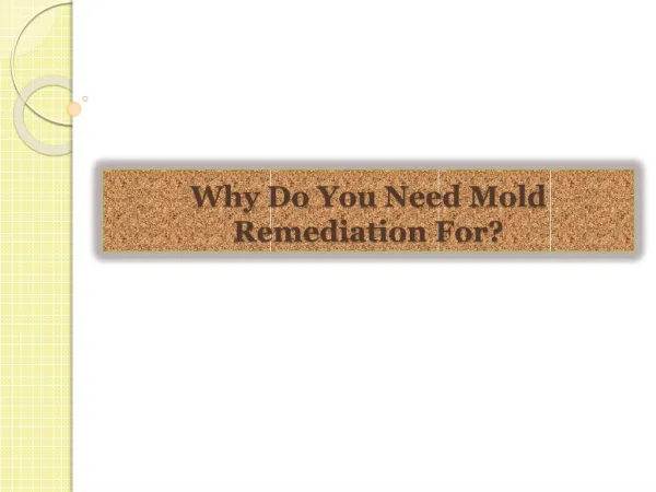 Why Do You Need Mold Remediation For?