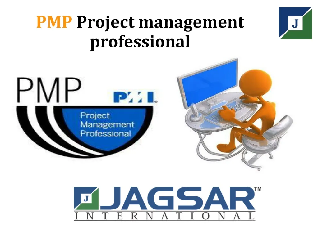 pmp project management professional