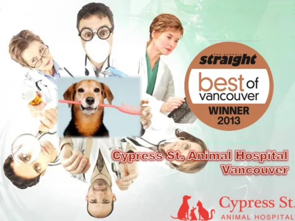 Cypress St. Animal Hospital Vancouver