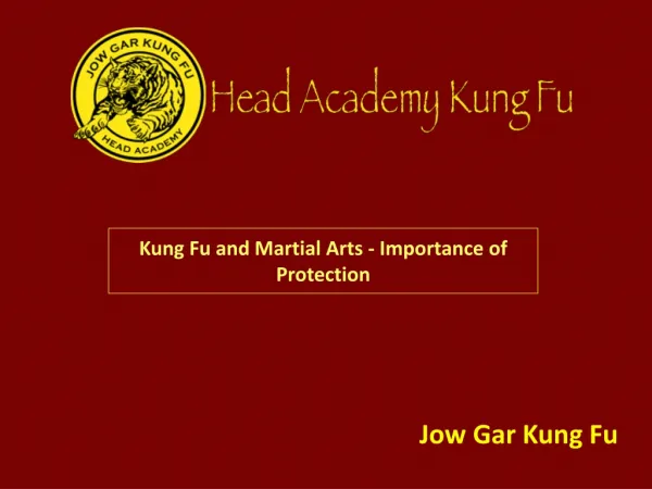 Kung Fu and Martial Arts - Importance of Protection