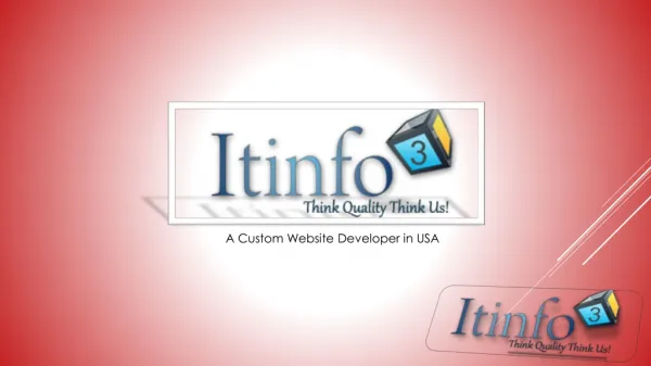 Custom Website Developer in USA