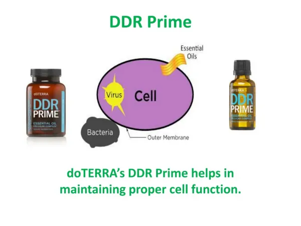 DDR Prime