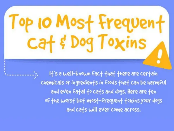 Top 10 Most Frequent Cat and Dog Toxins