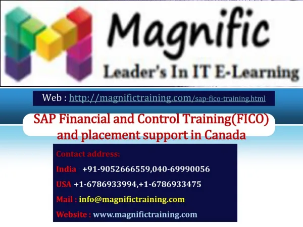 SAP Financial and Control Training and placement support in